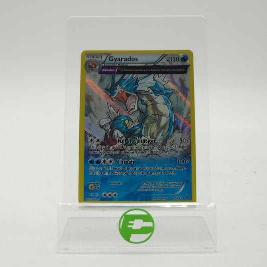 Pokémon TCG MCAP Gyarados  21/98 English