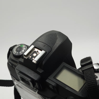 Nikon D70 6.1MP Digital SLR Camera Body Only